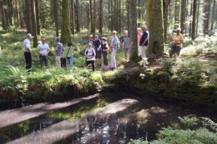 2020-9-23-NO-hv-Wanderung Nordracher Höhenhöfe-DSC_1364