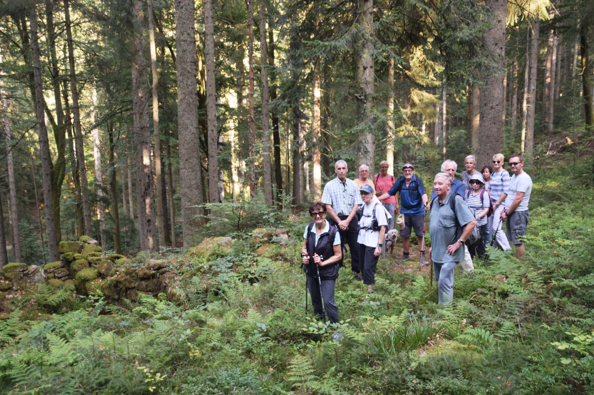2020-9-23-NO-hv-Wanderung Nordracher Höhenhöfe-DSC_1368