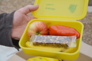 2020-9-25-BI-hps-Grundschule Bio-Brotbox-DSC_6895 2