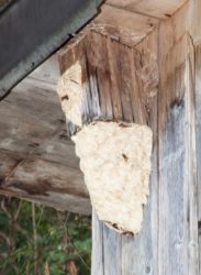 Platzmangel macht erfinderisch