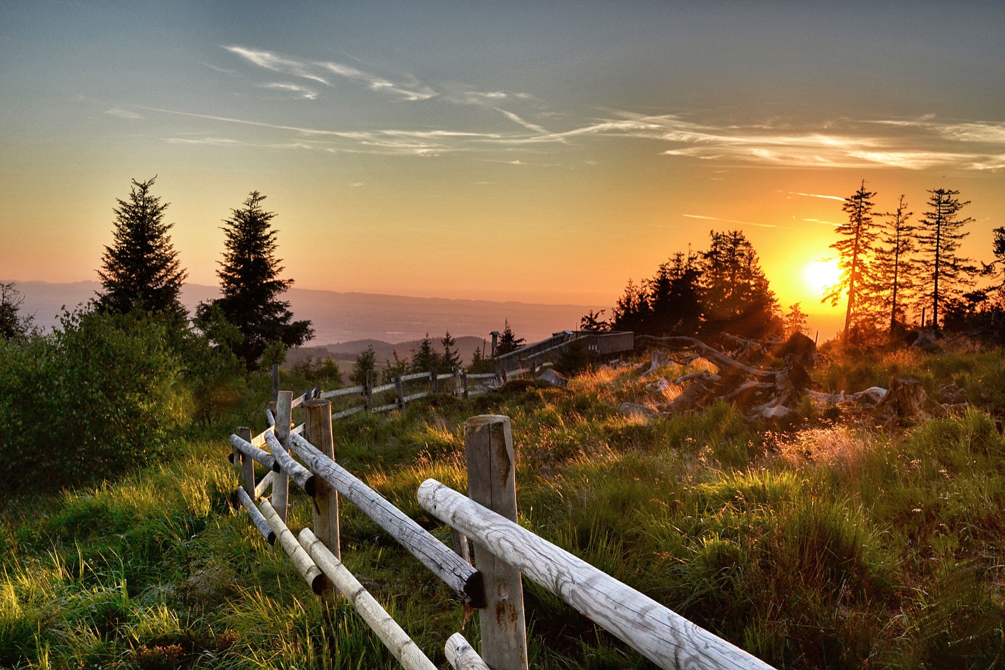 2020-9-4-OG-Landratsamt-Steffen Birk-Schliffkopf_Birk