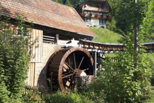 2020-9-7-GB-jl- Museumswochen Gallussaege