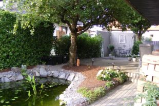 2020-9-9-ZE-Manfred Oestreich- Lehmann-Sträucher-Bäume und Artisten-Riesli Story-Annelie Garten 200801a