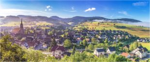 Umfrage zum Bedarf an Bauplätzen