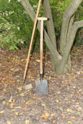 1.000 Bäume für Zell a. H.