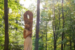 2020-10-23-GB-Gengenbach-Stadt-Ruhewald Bildtann-_DSC9114 b-2