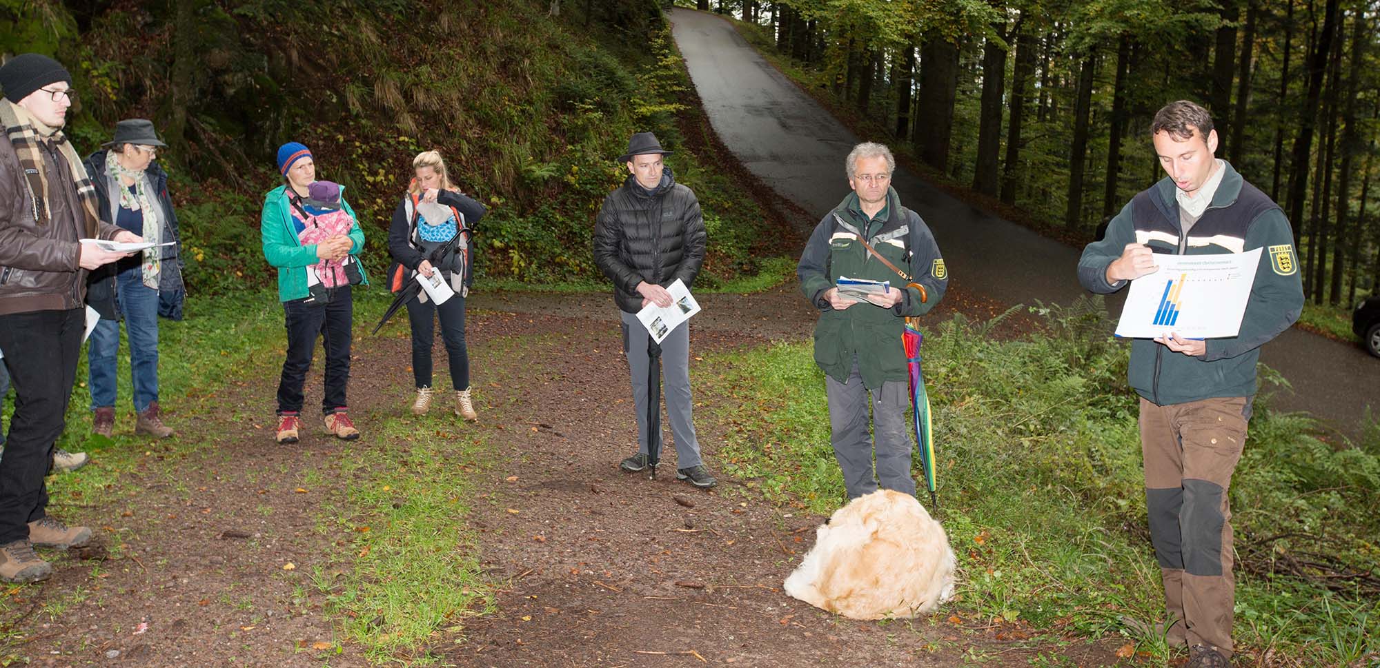 2020-10-23-OH-kal-Waldbegehung-zzvkMG8A6775b