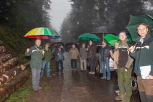 Waldwirtschaft in der Krise