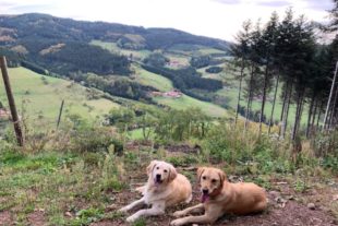 2020-10-26-ZE-UH-Doris Herrmann- Herbst im TalIMG_4189