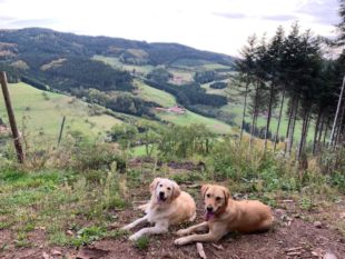 Auf langen Spaziergängen entdecken Emmi und Gina den Herbst