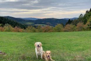 2020-10-26-ZE-UH-Doris Herrmann- Herbst im TalIMG_4214