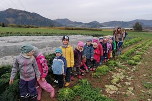 2020-10-28-ZE-UE-Kindergarten Wirbelwind-Karottenernte 1