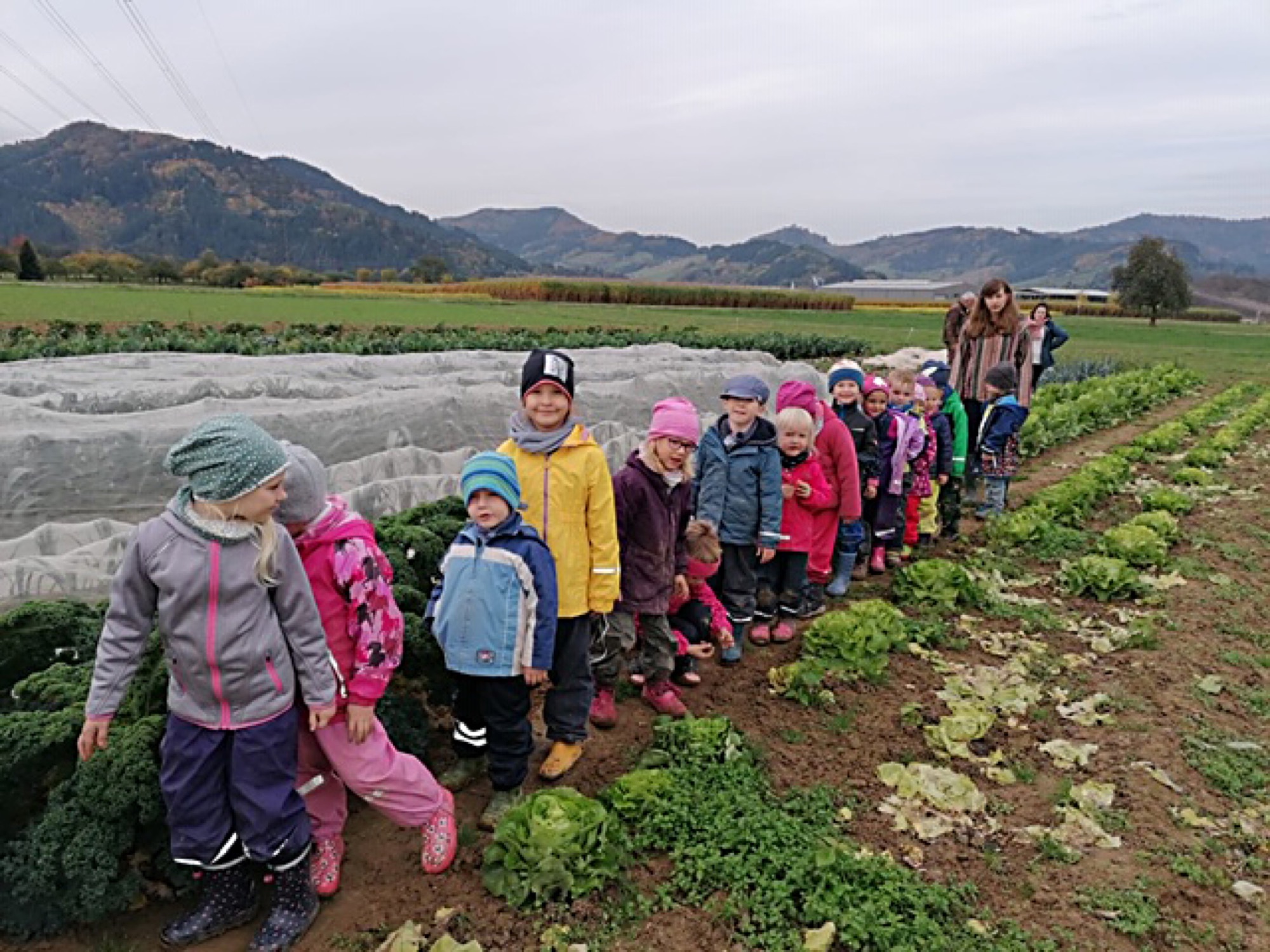 2020-10-28-ZE-UE-Kindergarten Wirbelwind-Karottenernte 1