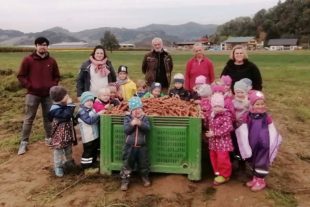 2020-10-28-ZE-UE-Kindergarten Wirbelwind-Karottenernte