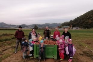 2020-10-28-ZE-UE-Kindergarten Wirbelwind-Karottenernte