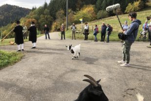 2020-10-30-NO-Touristen-Info-Moospfaffmonat-IMG_9173