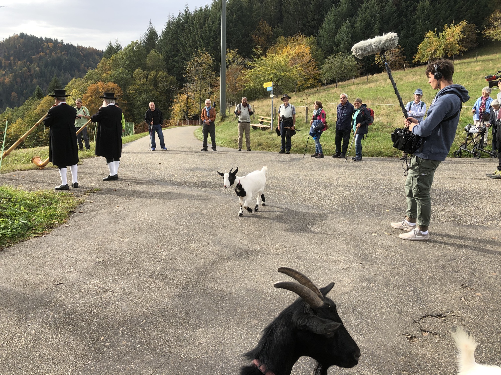 2020-10-30-NO-Touristen-Info-Moospfaffmonat-IMG_9173