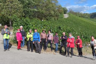 2020-10-9-BI-kp-SWV-IMG_4464