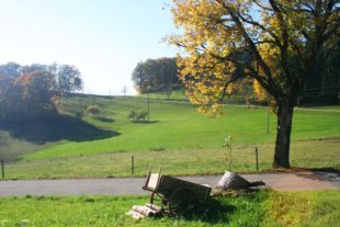 2020-10-9-NO-Touristen-Info-Wandern-Herbststimmung