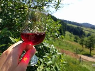 Hochprozentiges im wanderbaren Wunderbardorf