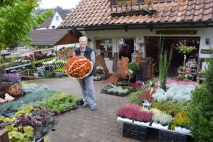 Hier kann jeder Gartenfreund sein Lieblingsstück finden