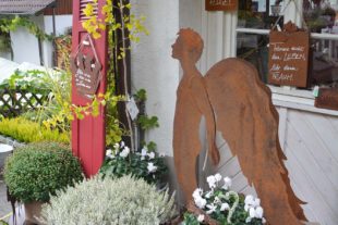 2020-10-9-OH-hps-Gärtnerei Lang-Golla-DSC_7333 2