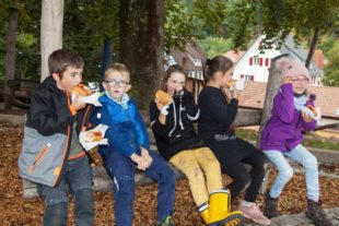 2020-10-9-OH-kal-Schule-Kreisputzede-zzvkIMG_3982b