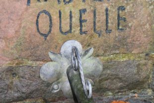 2020-10-9-ZE-hps-Radiumquelle-Keime-DSC_7376 2