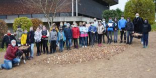 Damit es im nächsten Frühjahr im Stadtpark grünt und blüht