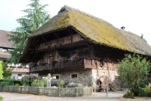 In historischem Ambiente in den Hafen der Ehe