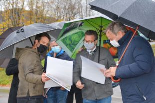 Engerlinge sind nicht das einzige Problem