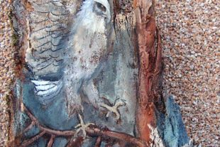 2020-11-20-NO-bia-Aydana Schwab-Adler