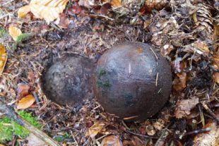 2020-11-20-OH-tg-Historischer Fund im Wald-Kanonenkugel-201118_Bild_2