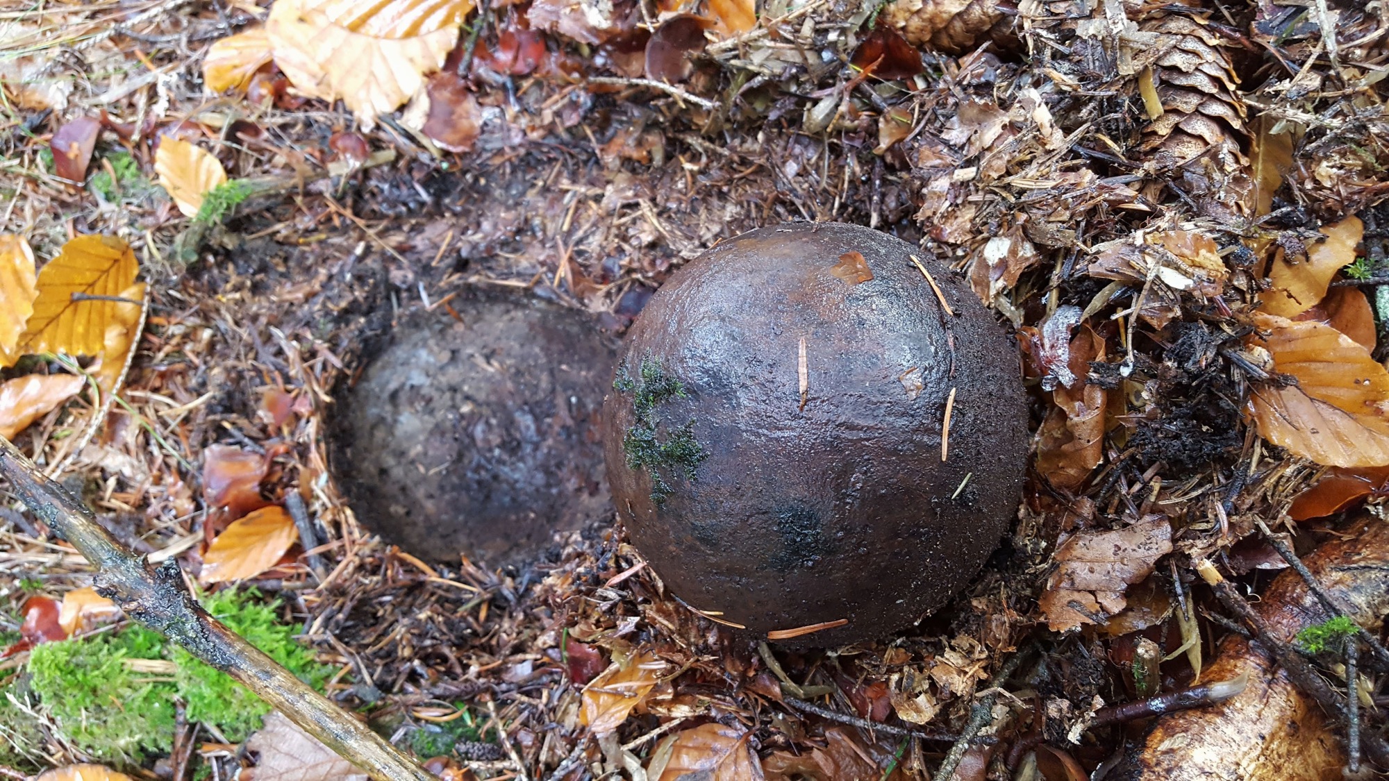 2020-11-20-OH-tg-Historischer Fund im Wald-Kanonenkugel-201118_Bild_2