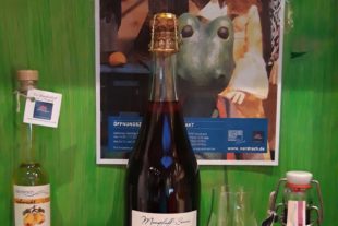 2020-11-23-NO-Gemeinde-Puppenmuseum-20201119_164939