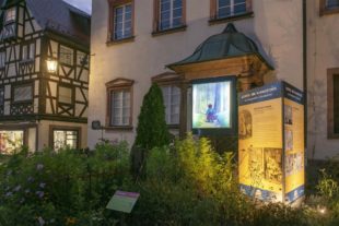 2020-11-27-GB-Gengenbach-Stadt-Adventsweg Gengenbach Ratskanzlei Foto D. Wissing