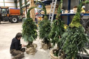 2020-11-27-NO-Gemeinde-Weihnachten in Nordrach-Wichtelbäume fast fertig