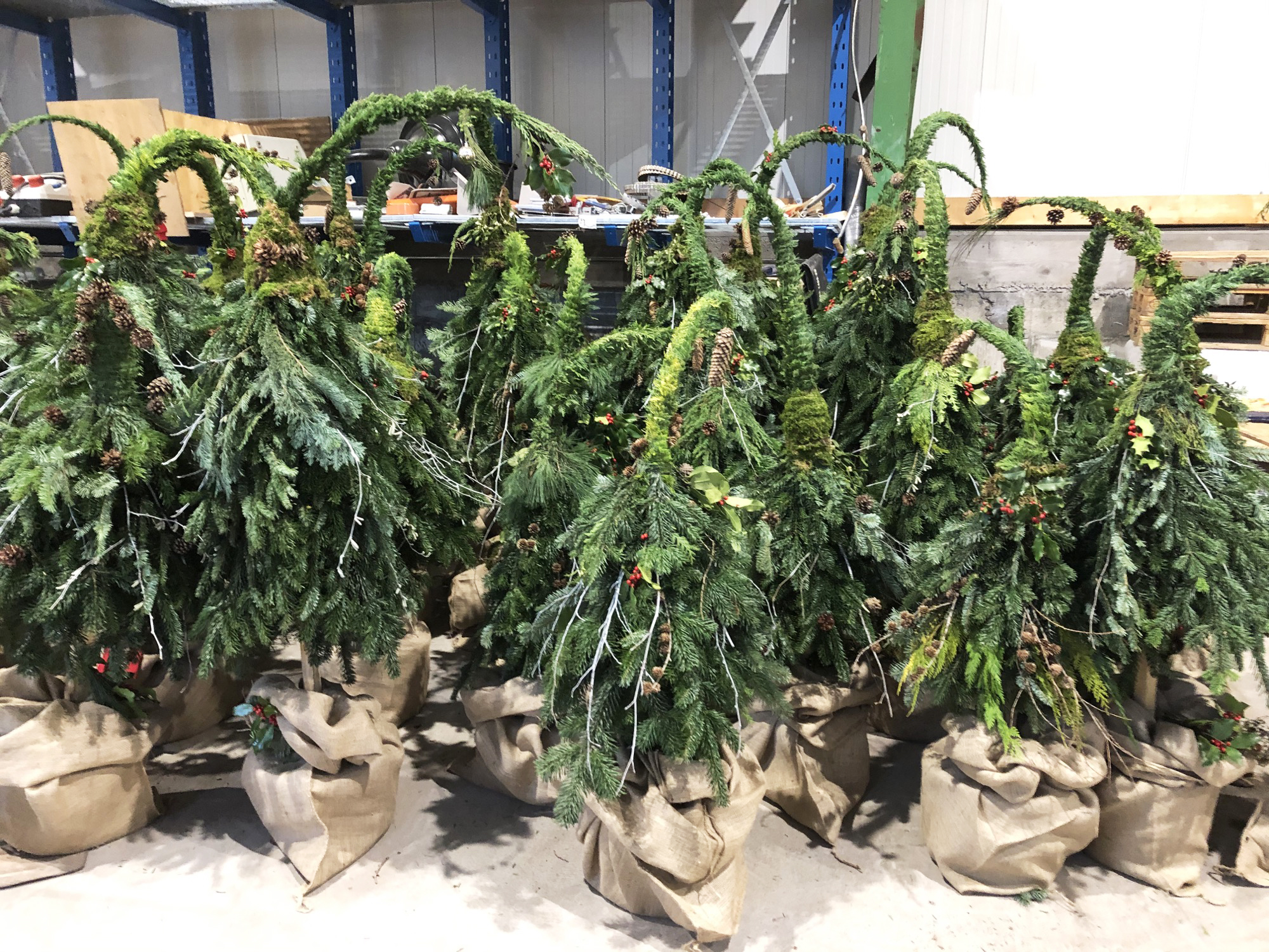 2020-11-27-NO-Gemeinde-Weihnachten in Nordrach-Wichtelbäume