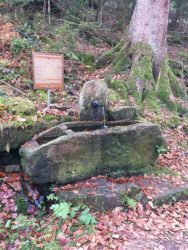 Die Geschichte vom Bären-Vitt und vom Schwedenbrunnen