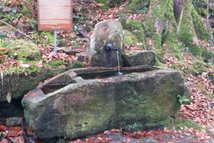 2020-11-27-NO-hv-Schwedenbrunnen-Schwedenbrunnen 2