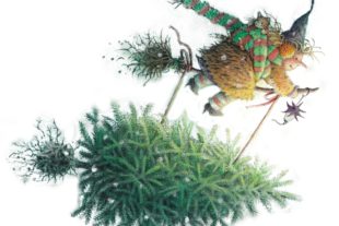 2020-11-27-OH-Tourist-Info-hexe