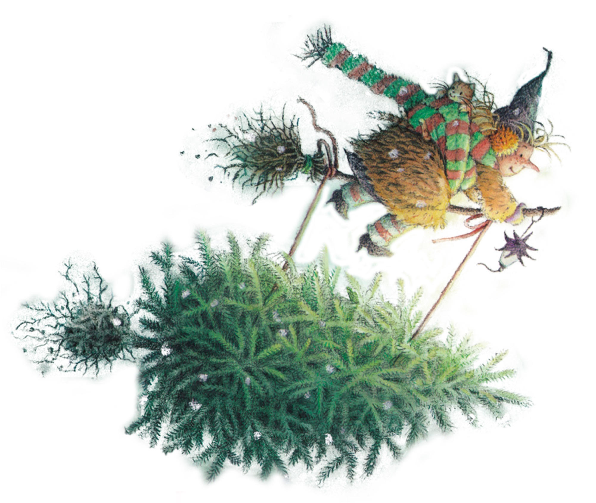 2020-11-27-OH-Tourist-Info-hexe