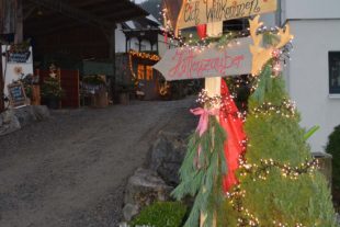 2020-12-11-BI-PB-hps-Rosers Deko-Scheune-DSC_8121 2