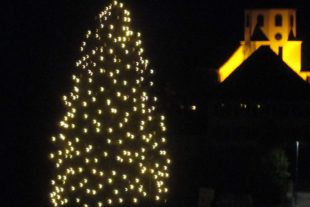 2020-12-18-BI-PB-Thomas Leopold-201213 Weihnachtsbaum