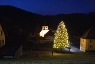 2020-12-18-BI-PB-hps-Prinzbach Weihnachtsbaum-DSC_8222 2