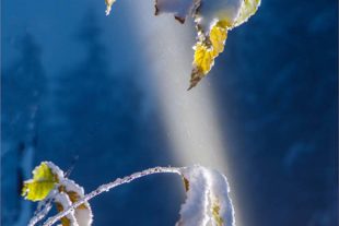 2020-12-2-OH-Robert Schwendemann-Winterbilder-1226A1287