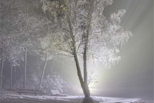 2020-12-2-OH-Robert Schwendemann-Winterbilder-1226A1338-HDR