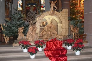 2020-12-28-NO-hv-Weihnachten am Wegesrand-DSC_1525