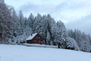 2020-12-28-ZE-UH-Ulrich Spitzmüller-Winterbilder von der Nill IMG_7063