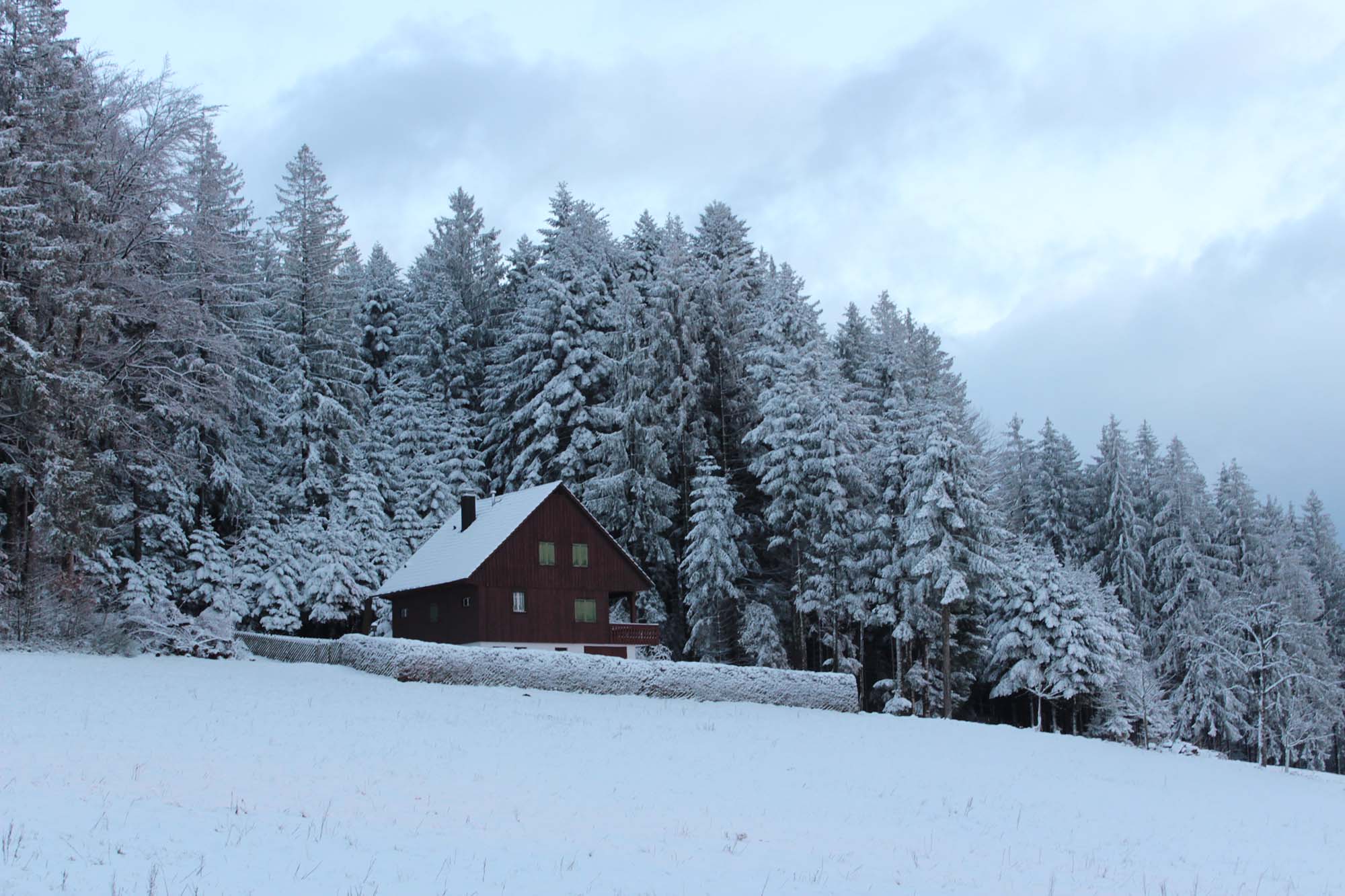 2020-12-28-ZE-UH-Ulrich Spitzmüller-Winterbilder von der Nill IMG_7063